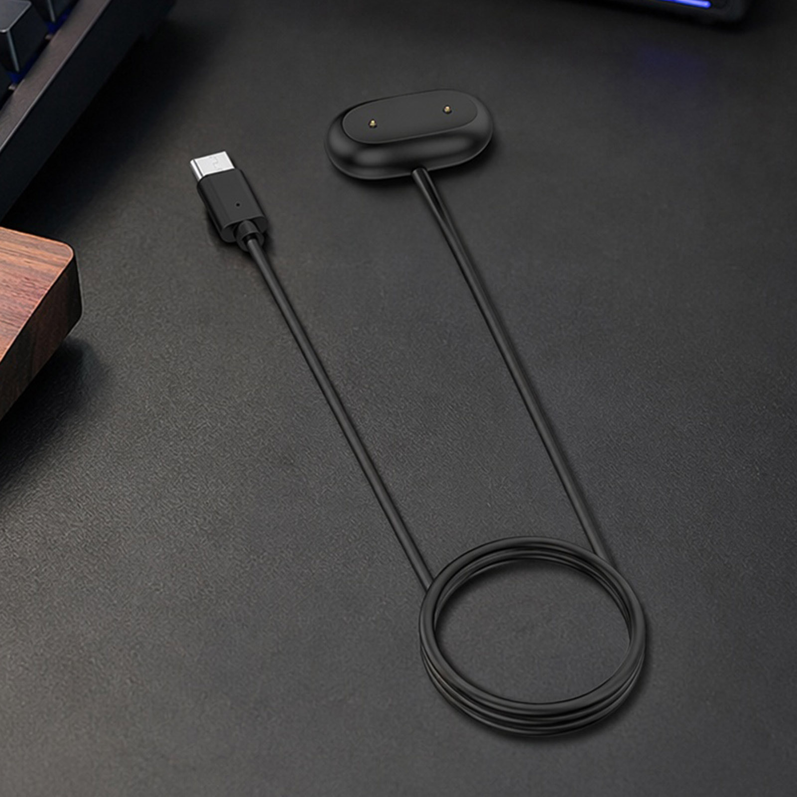 Travel Charging Dock for Fitbi - Travel Accessories Inc 评论和价格